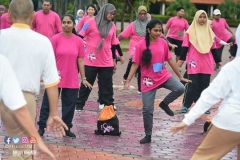 43346144_2067727863537334_6779688730950107136_o_2067727860204001