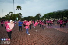 43371521_2067728653537255_8622481368837783552_o_2067728646870589