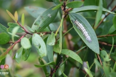 45502927_2084651648511622_2333693789069115392_o_2084651641844956