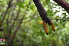 45513759_2084651938511593_4539490014773379072_o_2084651931844927