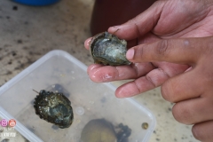 45522200_2084651728511614_7177583928704761856_o_2084651725178281