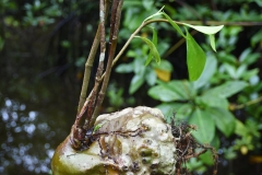 45527290_2084651511844969_3424009496727388160_o_2084651508511636