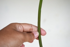 45527291_2084651215178332_7936919079892287488_o_2084651211844999