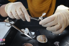 45541168_2084651551844965_6189245785628999680_o_2084651548511632