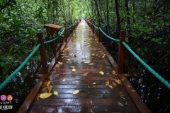 45546496_2084654278511359_3858431956815446016_o_2084654268511360