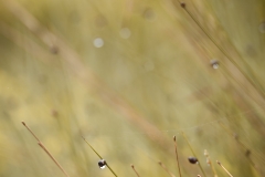 45563358_2084652261844894_7722781614060601344_o_2084652258511561