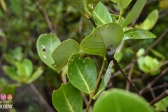 45565149_2084651401844980_3232799171912138752_o_2084651398511647