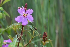 45566983_2084651778511609_6523575441633050624_o_2084651775178276