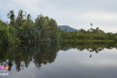 45579998_2084653245178129_6814491413590310912_o_2084653241844796