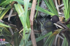 45600113_2084652368511550_4144303545518129152_o_2084652365178217