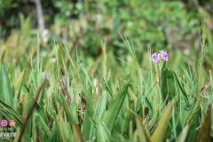 45616645_2084652105178243_5983895689740943360_o_2084652098511577