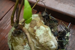 45626280_2084651121845008_6464180313126862848_o_2084651115178342