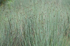 45636066_2084654211844699_4931769963695308800_o_2084654205178033