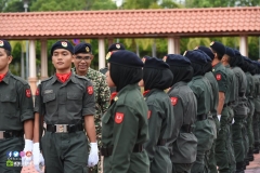 28827185_1923543037955818_8741568370443695925_o_1923543037955818