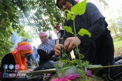 28958364_1924874591155996_8677888607324733440_o_1924874587822663