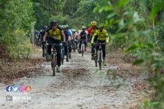 17545563_1766766823633441_7444250953229584757_o_1766766823633441