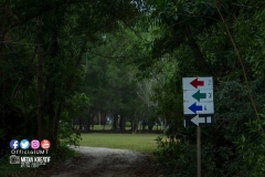 17807372_1766767413633382_4408516971629860385_o_1766767413633382