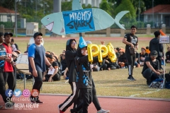 30264281_1939834889659966_8120390955971903488_o_1939834882993300