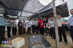 18320475_1783904115253045_8291473238699147216_o_1783904115253045