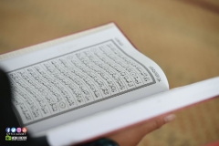 34411827_1969115406731914_5061052598178545664_o_1969115396731915