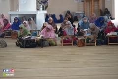 34595815_1969117126731742_7867613730962407424_o_1969117116731743