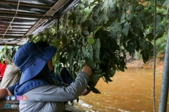 39060353_2033863753590412_4268004277294727168_o