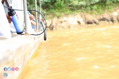 39091667_2033861746923946_7639199669284765696_o