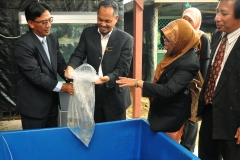 72-penyerahan-benih-ikan-kelah-UMT-KETENGAH