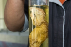 27709754_1909668946009894_3050681054116725687_o_1909668946009894