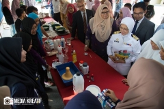 17097381_1746835082293282_6855777193807876133_o_1746835082293282