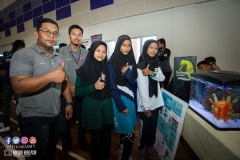 31960581_1954322881544500_5789083339063296_o_1954322874877834