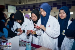 31960999_1954323968211058_2160225454462599168_o_1954323961544392