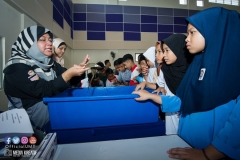 31961446_1954324121544376_7238155062206267392_o_1954324111544377