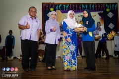 31963899_1954324541544334_7340766533896896512_o_1954324534877668