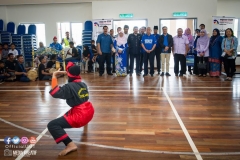 31969867_1954318824878239_8118676027070218240_o_1954318821544906