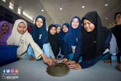 32116362_1954323628211092_8142606403727523840_o_1954323621544426