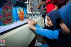 32169101_1954317844878337_8573413489194827776_o_1954317841545004