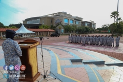 41177706_2053745451602242_9134578471387791360_o_2053745444935576