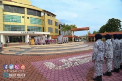 41229901_2053745981602189_973301290773774336_o_2053745974935523