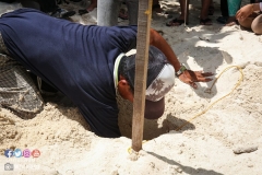 41402416_2055354581441329_551495202628435968_o_2055354574774663