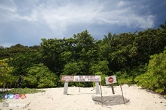 41436393_2055354971441290_6448293366537912320_o_2055354968107957