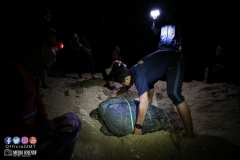 41456154_2055352718108182_305283861628059648_o_2055352711441516