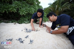 41465075_2055354618107992_8127505032426815488_o_2055354611441326