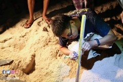 41478568_2055352874774833_7715059000869388288_o_2055352871441500