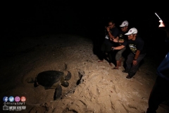 41484419_2055353584774762_8570208580303585280_o_2055353581441429