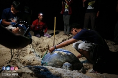 41486267_2055353738108080_6828780061114499072_o_2055353734774747