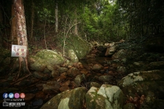 41487118_2055355314774589_1361269655171235840_o_2055355311441256