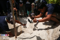 41489442_2055355198107934_1295856744907407360_o_2055355191441268