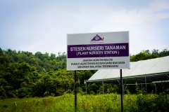 Plant Nursery Station 01