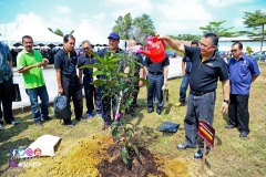 27788044_1910243245952464_6421606842095064732_o_1910243245952464